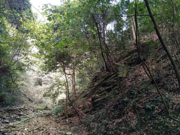 山西省曲沃县发布寒潮黄色预警
