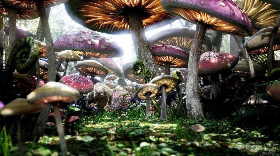 周知 | 春节假期, 天津交警“9不罚”!最新通告